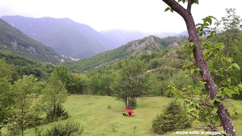 Le orchidee di Vallepietra nel Parco Naturale dei Monti Simbruini (Roma).